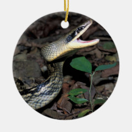 Skönhetråttaorm Julgransprydnad Keramik
