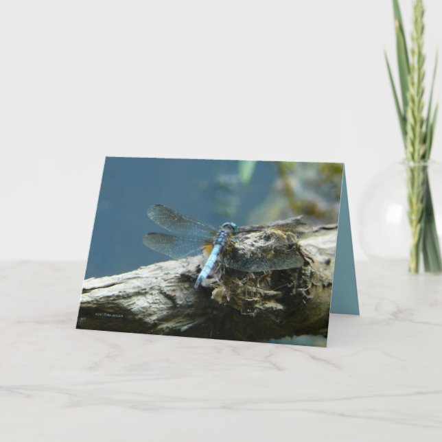 Skönhetsrester Kort (Framsida)