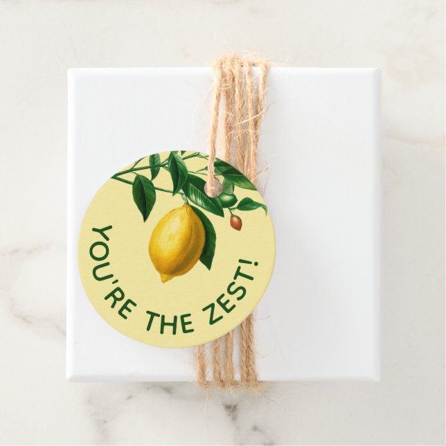 Skönt att du är den 🍋 handritade Lemon Gåvor Etiketter (På plats)