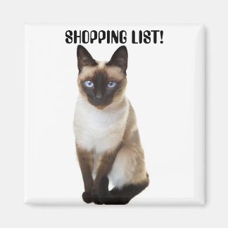 SKÖPPNINGSLISTA MAGNET