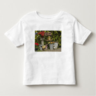 Skor, skor och blommor, Zasamt Schans. Tee Shirt