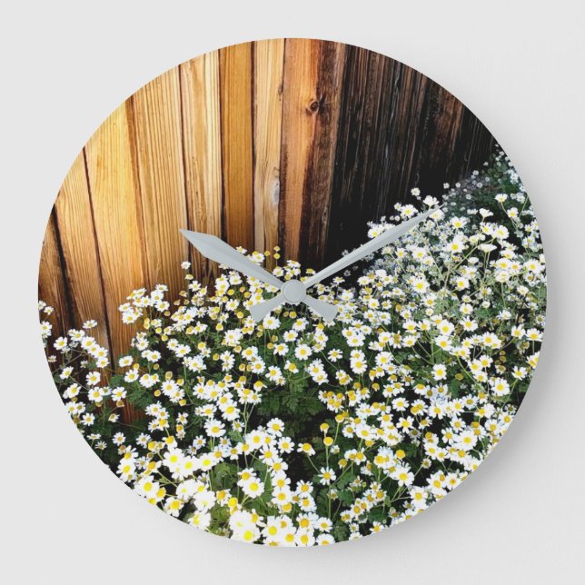 Sköra vita blommor mot väderbitet staket stor klocka (Framsida)