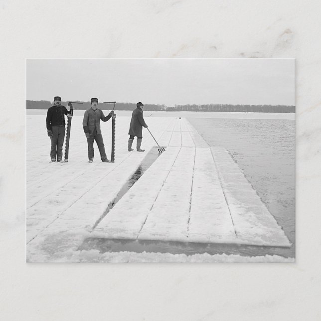 Skörd av isblock, 1906 vykort (Framsida)