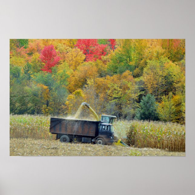 Skörd av majs i Vermont Poster (Framsidan)