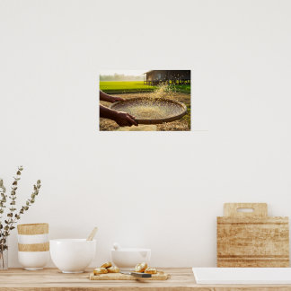 Skörd av säd, risfält poster