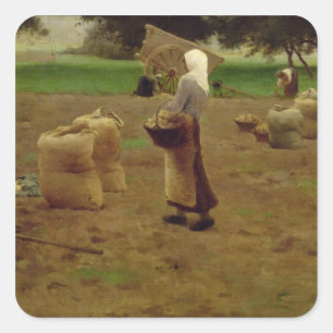 Skörd potatis fyrkantigt klistermärke