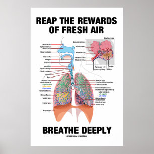 skörda frukterna av det nya Luft Breathe Poster