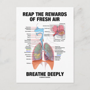 skörda frukterna av det nya Luft Breathe Vykort