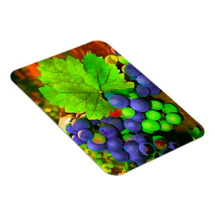 Skörddruvor Magnet