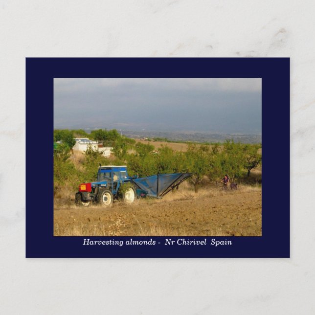 Skördedjur på landsbygden i Spanien Vykort (Framsida)