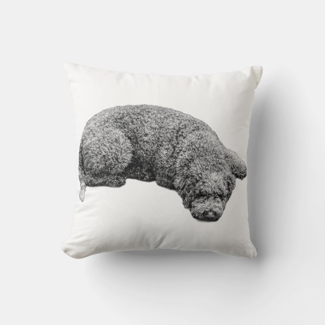 Skördekvällens Lugn Kudde (Framsida)