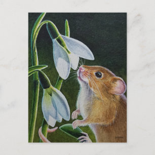 Skördemus som sniffar på snödroppar Aquarellkonst  Vykort