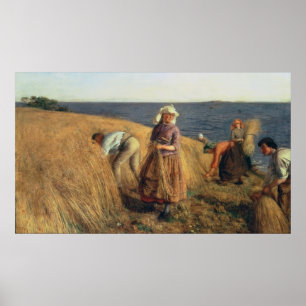 Skörden Poster