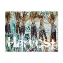 Skördens Säsong Bondens Marknad