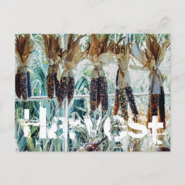 Skördens Säsong Bondens Marknad Vykort