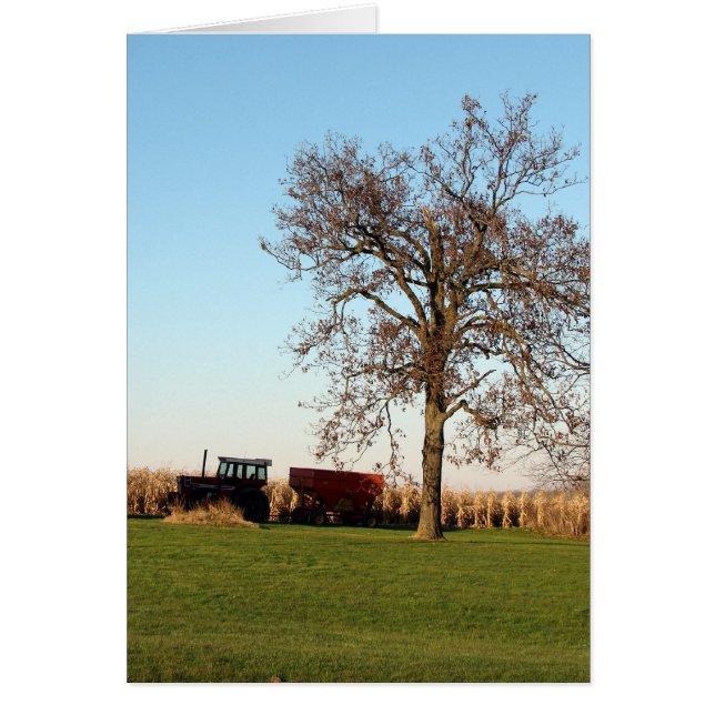 Skördetid 2 hälsningskort (Framsidan)