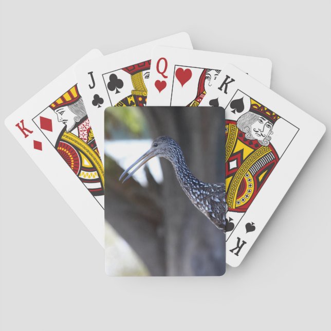 Skorpgam, den gråtande fågeln casinokort (Baksidan)