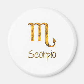 skorpio magnet