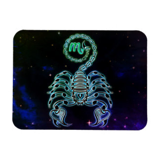 Skorpio zodiakmagnet magnet