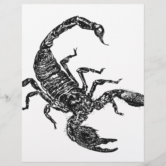 Skorpion (Framsida)