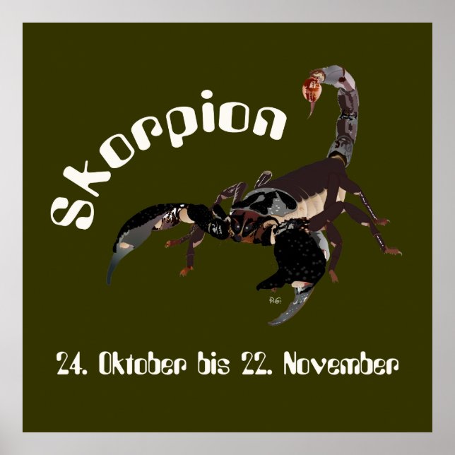 Skorpion 24. Oktober bis 22. November Poster (Framsidan)