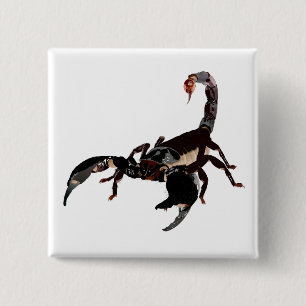 Skorpion Buttons Knapp