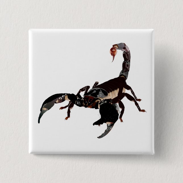 Skorpion Buttons Knapp (Framsida)