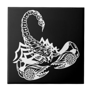 skorpion kakelplatta