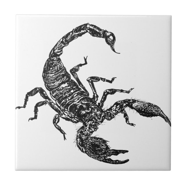 Skorpion Kakelplatta (Framsidan)