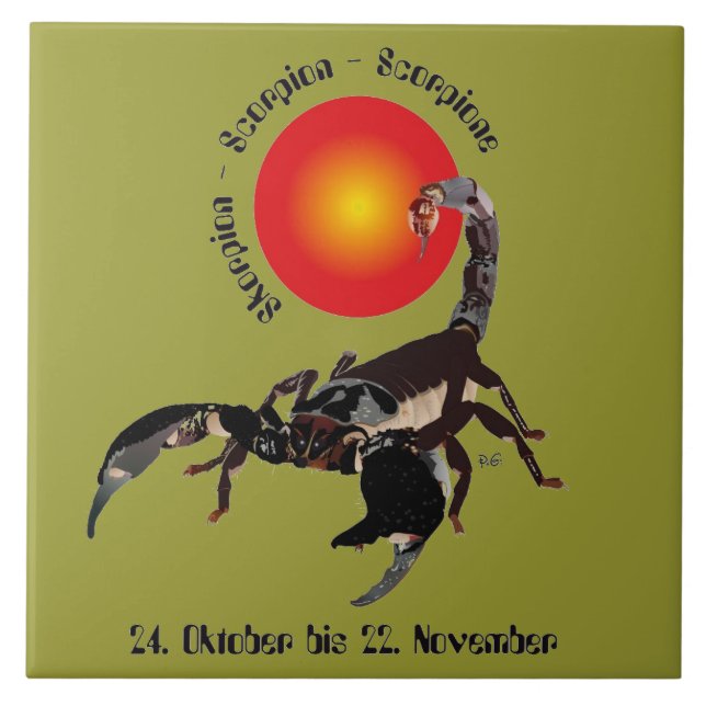 Skorpion Keramik Fotofliese Kakelplatta (Framsidan)