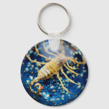 Skorpion Keychain