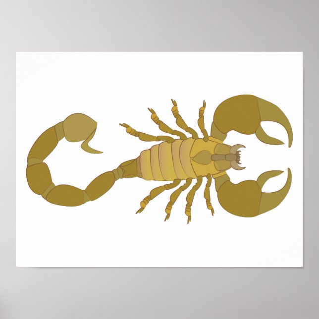 Skorpion Poster (Framsidan)