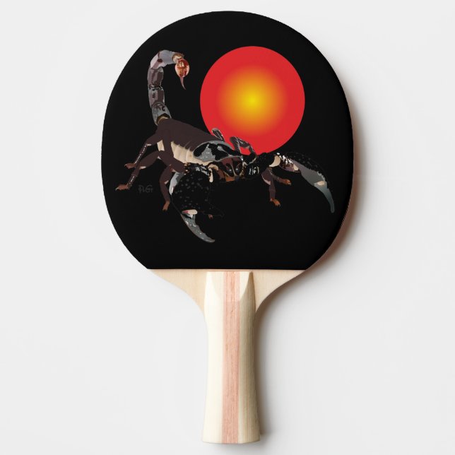 Skorpion Tischtennis - Schläger Pingisracket (Framsidan)
