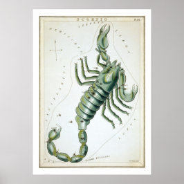Skorpionen Astrologi Stjärntecken Poster