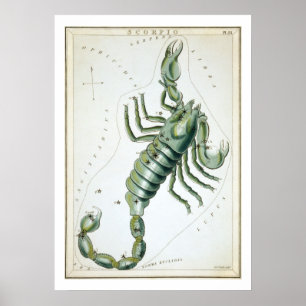 Skorpionen Astrologi Stjärntecken Poster