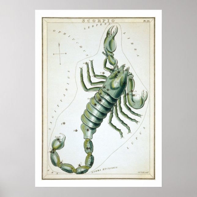 Skorpionen Astrologi Stjärntecken Poster (Framsidan)