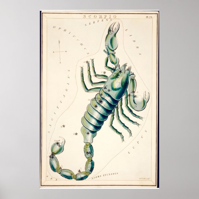 Skorpionens stjärnbild Fint konsttryck Antik Poster (Framsidan)