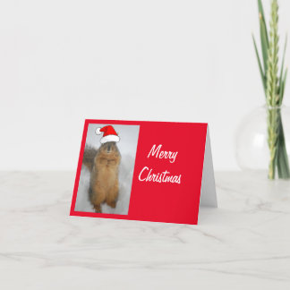 Skorre med Jultomten Hat till jul Tack Kort