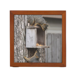 Skorren Desk Organizer