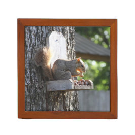 Skorren Desk Organizer