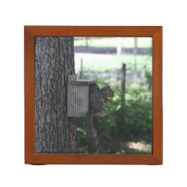 Skorren Desk Organizer
