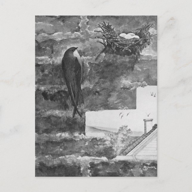 Skorsten Skift och kapsel Vykort (Framsida)