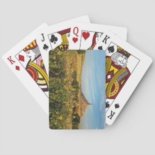 Skorsten Sten, Nebraska Casinokort