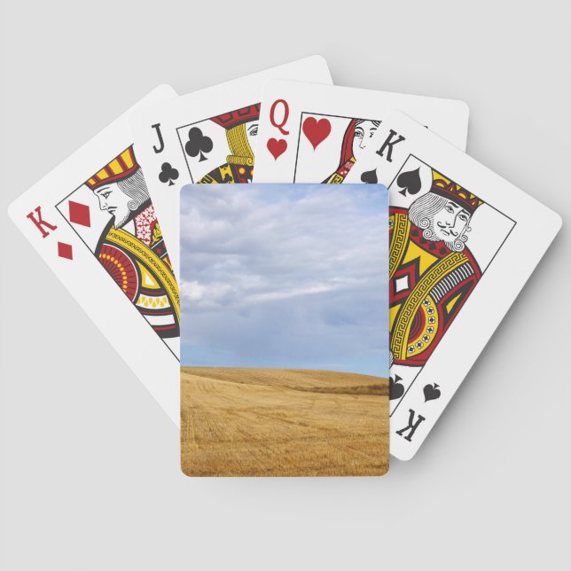 Skört vete fält casinokort (Baksidan)