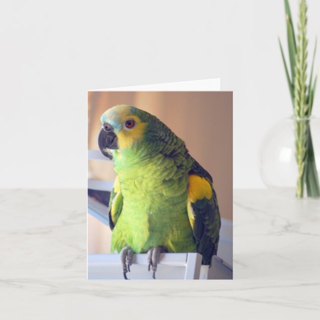 skoter kort (Framsida)