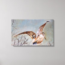 Skotkuk under flygning