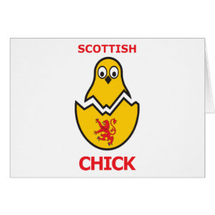 Skotsk chick hälsningskort