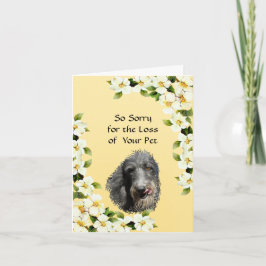 Skotsk Deerhound och Dogwoodsympati Kort