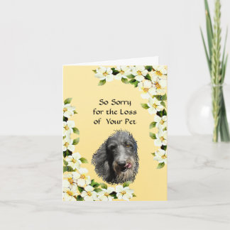 Skotsk Deerhound och Dogwoodsympati Kort