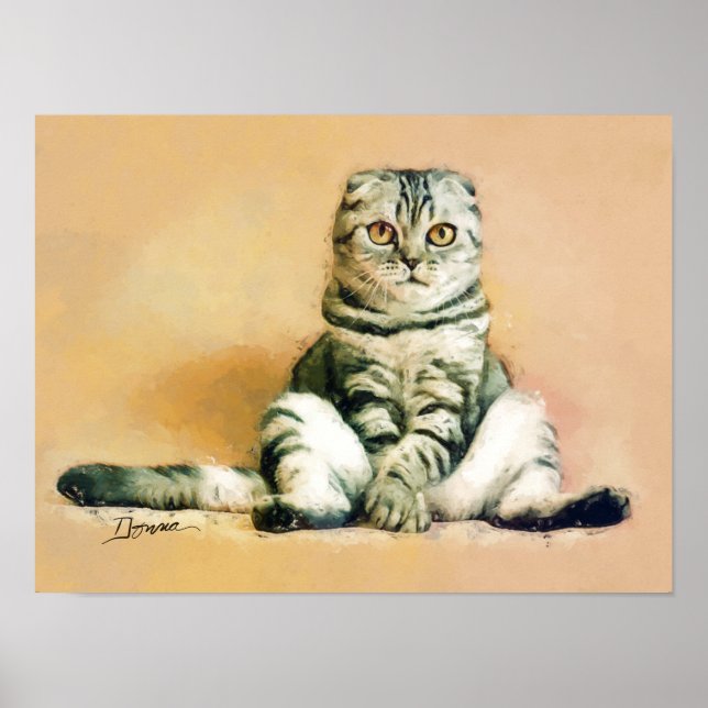 Skotsk Fold Katt sittande porträtt Poster (Framsidan)